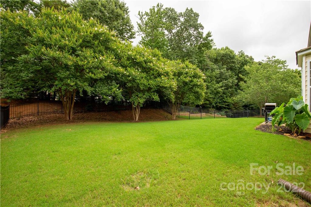 932 Treasure Court Fort Mill, SC 29708 - Photo 26 of 34 a view of a garden