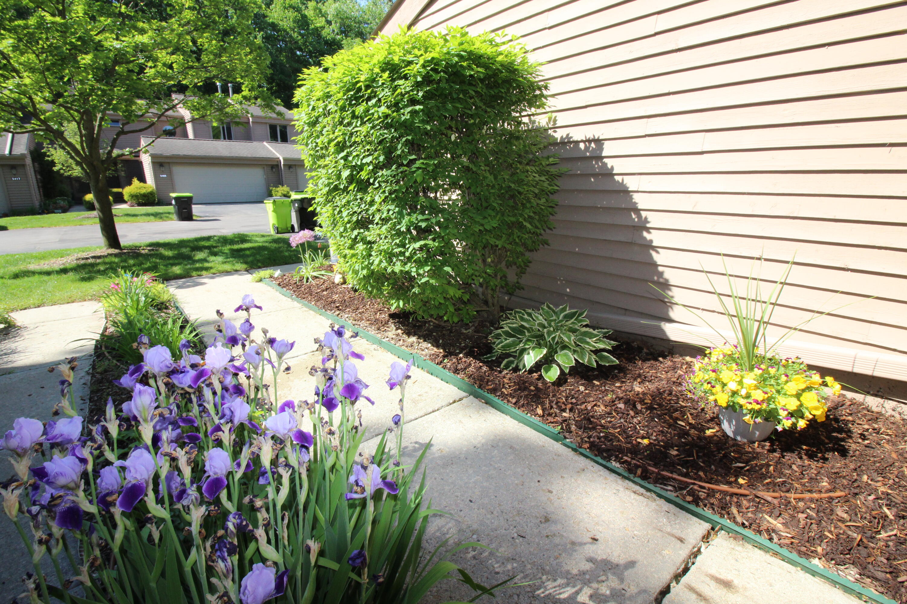 5432 Parkgrove Road Ann Arbor, MI 48103 - Photo 47 of 50 Front walkway