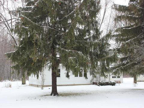 8260 Newburg Road Durand, MI 48429 - Photo 24 of 25 20348658-23.JPG