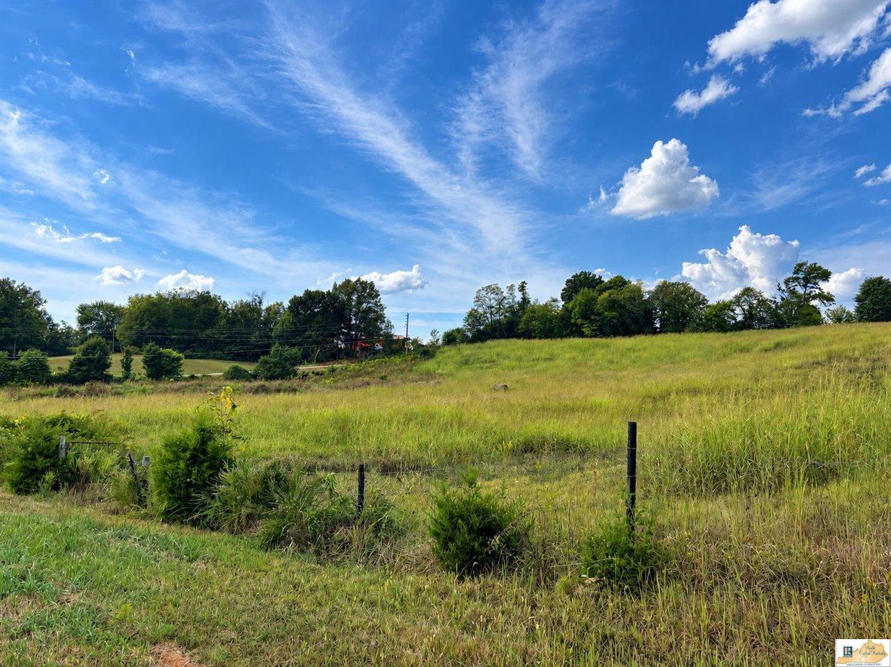 Roseville Road Glasgow, KY 42141 - Photo 4 of 14 Gallery Image 4