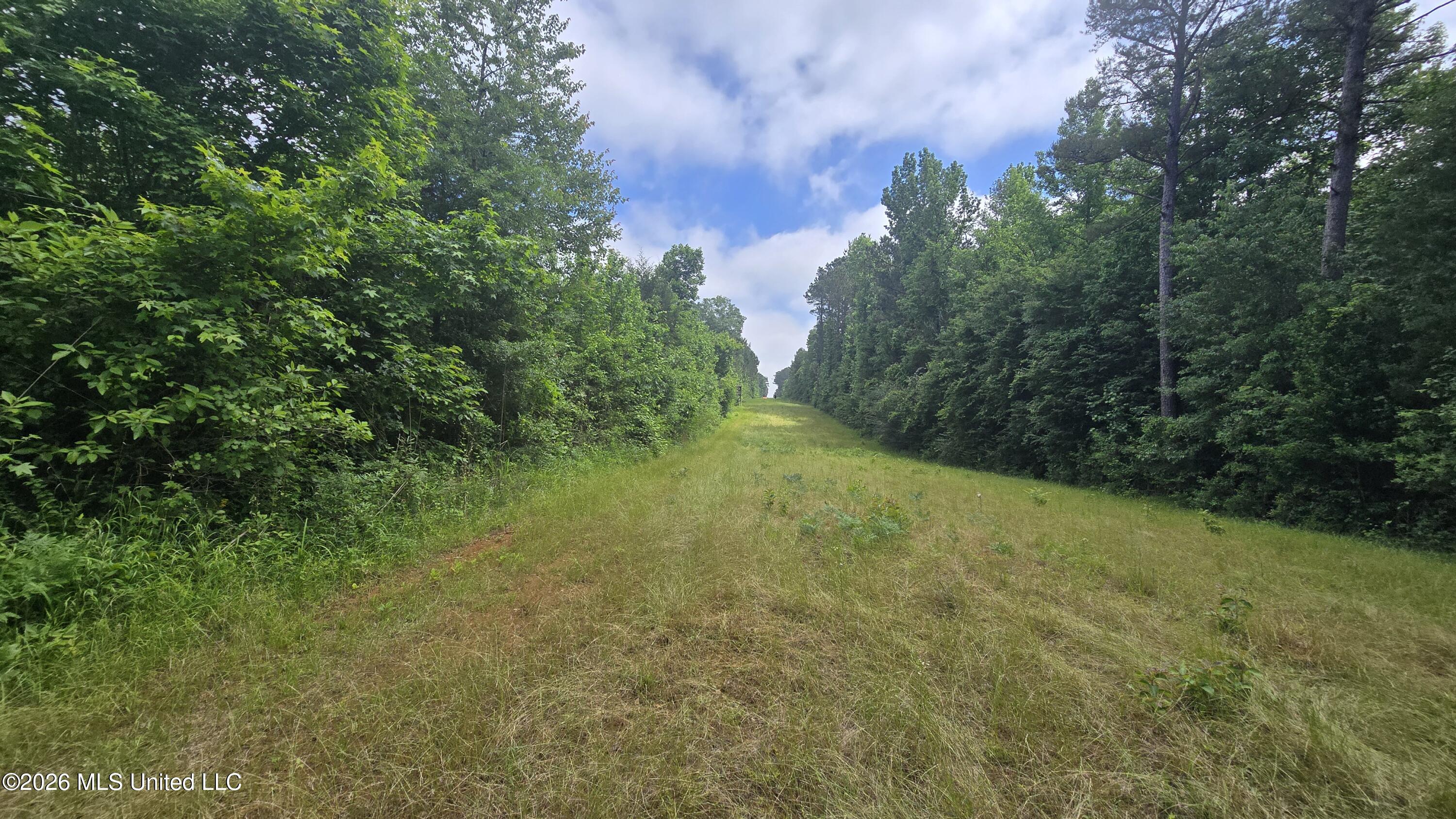 189 Co Road Bay Springs, MS 39422 - Photo 26 of 61 20260513_105200