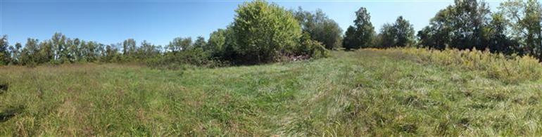 125 Patterson Road Versailles, KY 40383 - Photo 14 of 17 Photo 14
