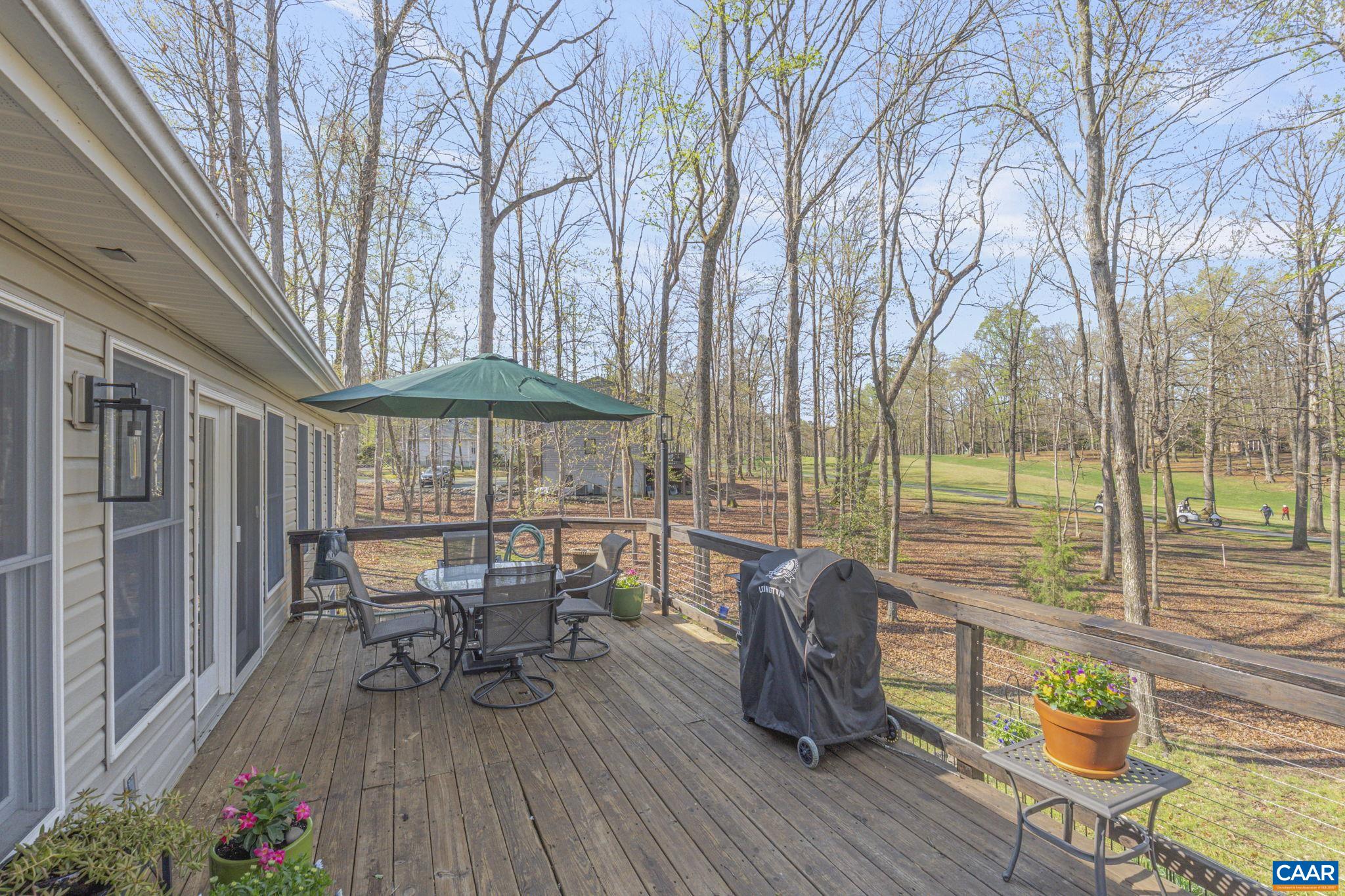 26 Out Of Bounds Road Palmyra, VA 22963 - Photo 43 of 56 Gallery Image 43