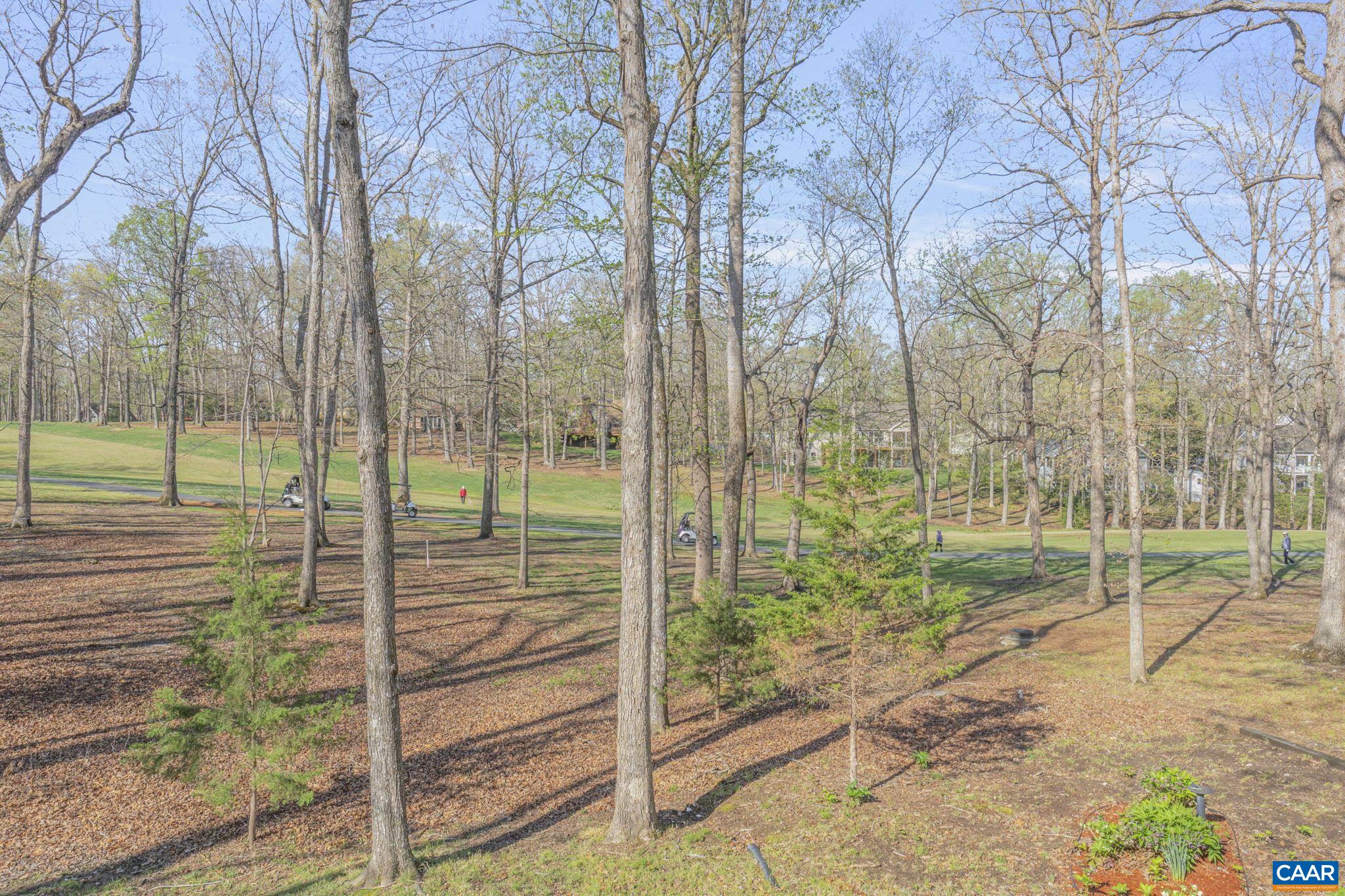 26 Out Of Bounds Road Palmyra, VA 22963 - Photo 48 of 56 Gallery Image 48