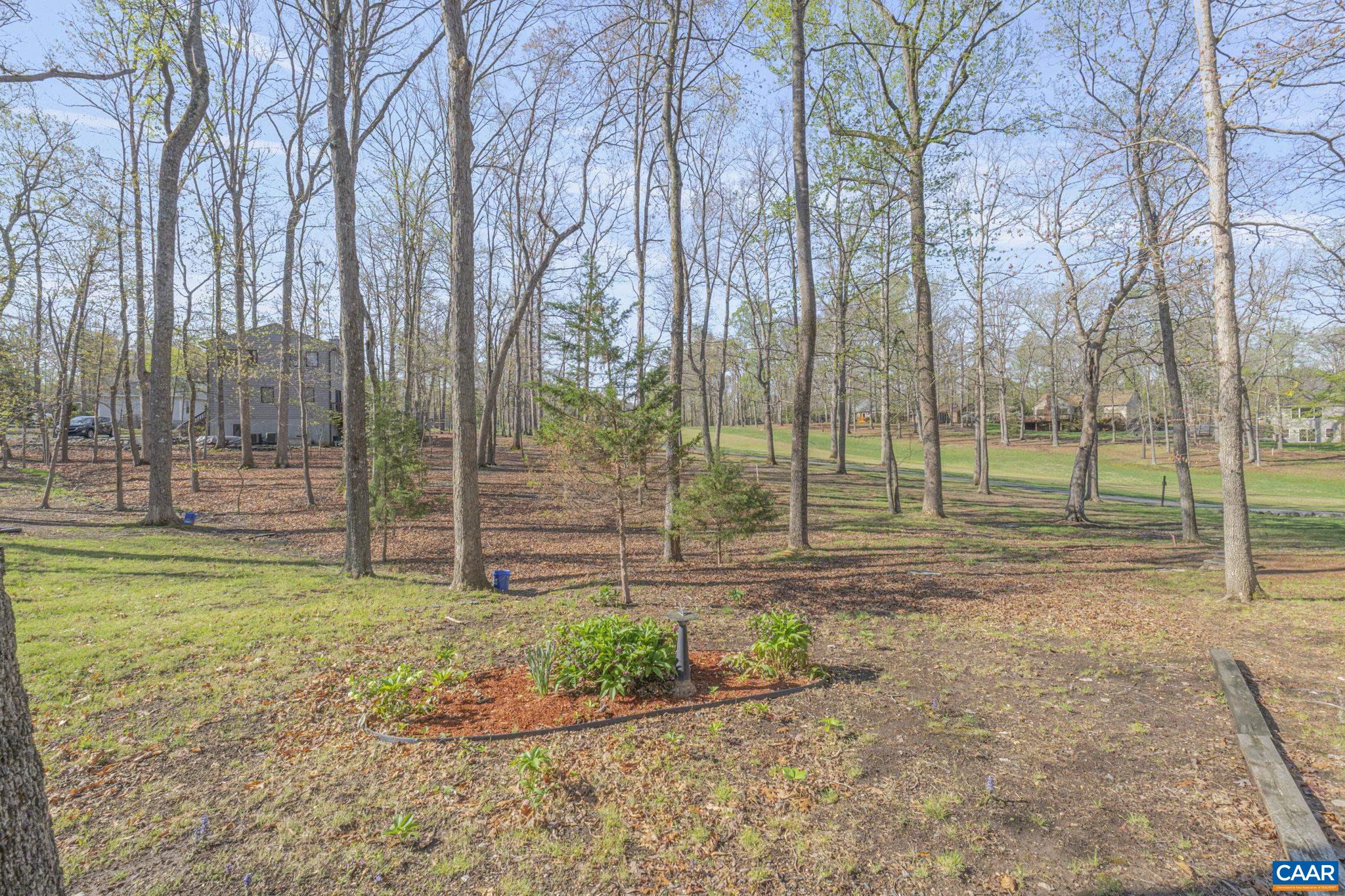 26 Out Of Bounds Road Palmyra, VA 22963 - Photo 49 of 56 Gallery Image 49