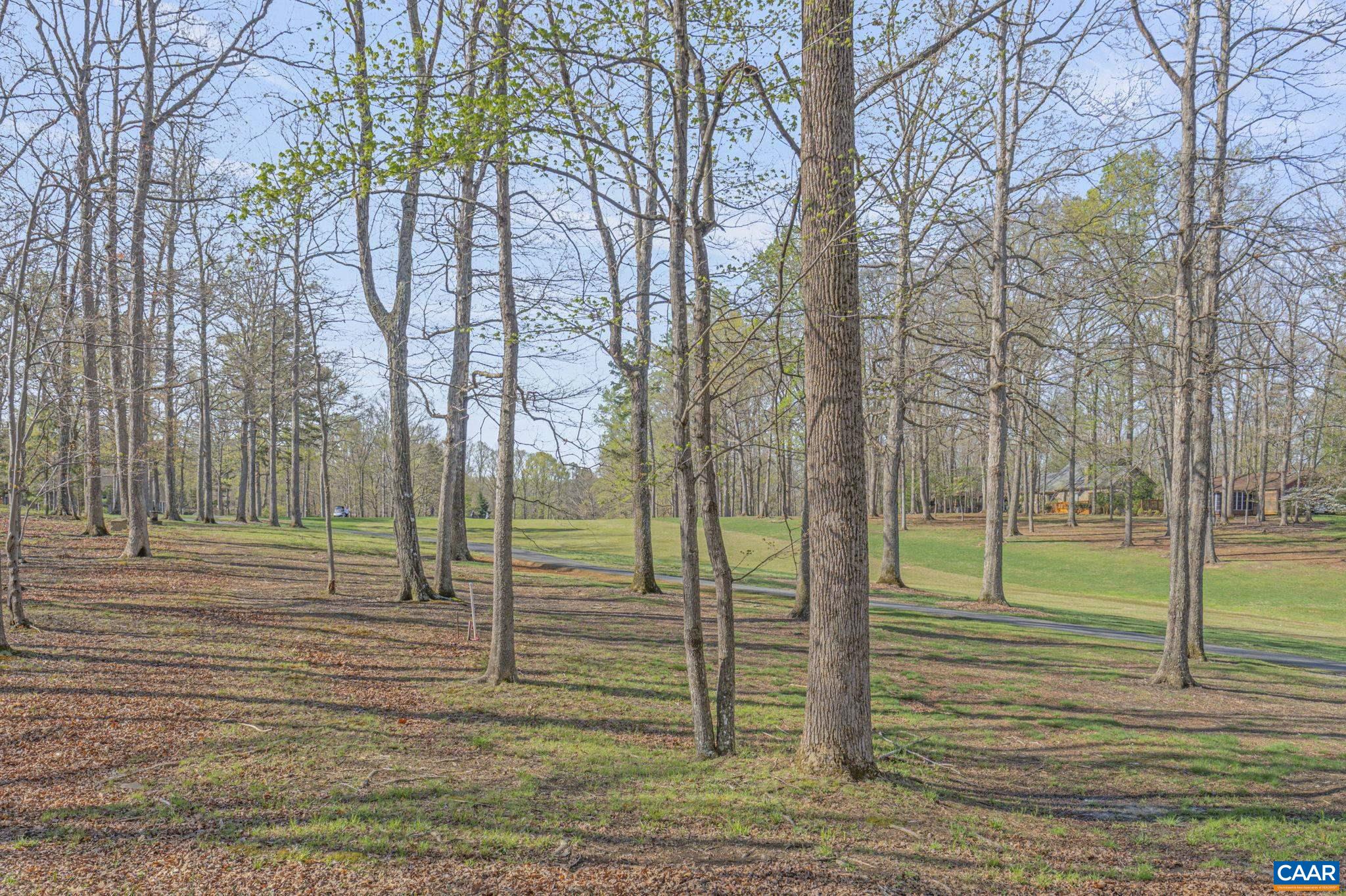 26 Out Of Bounds Road Palmyra, VA 22963 - Photo 50 of 56 Gallery Image 50