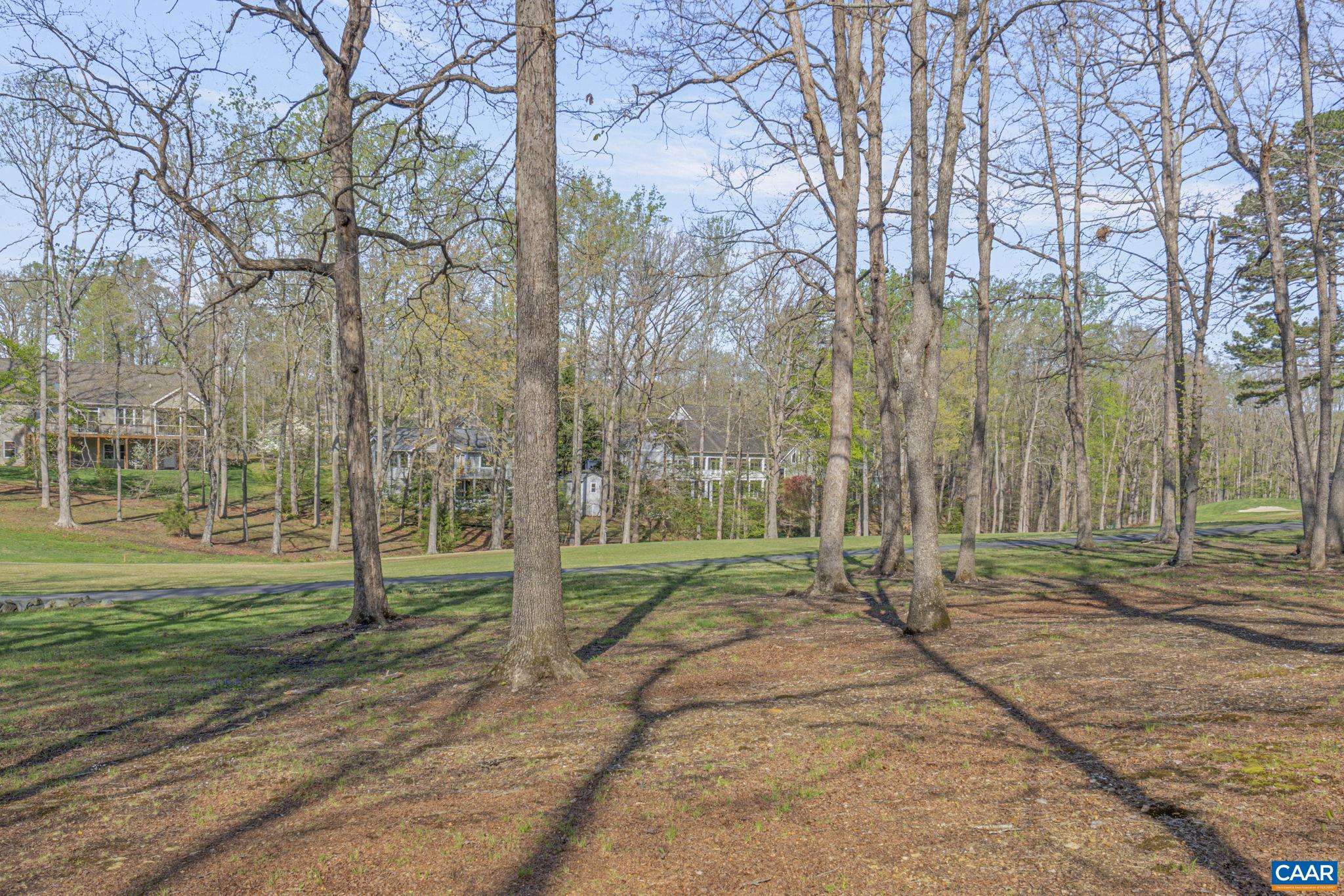 26 Out Of Bounds Road Palmyra, VA 22963 - Photo 54 of 56 Gallery Image 54