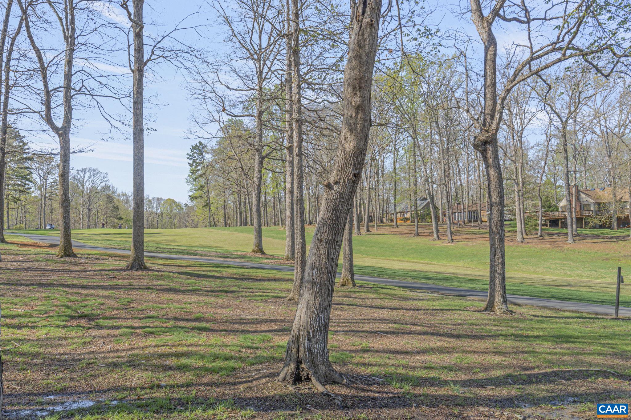 26 Out Of Bounds Road Palmyra, VA 22963 - Photo 55 of 56 Gallery Image 55