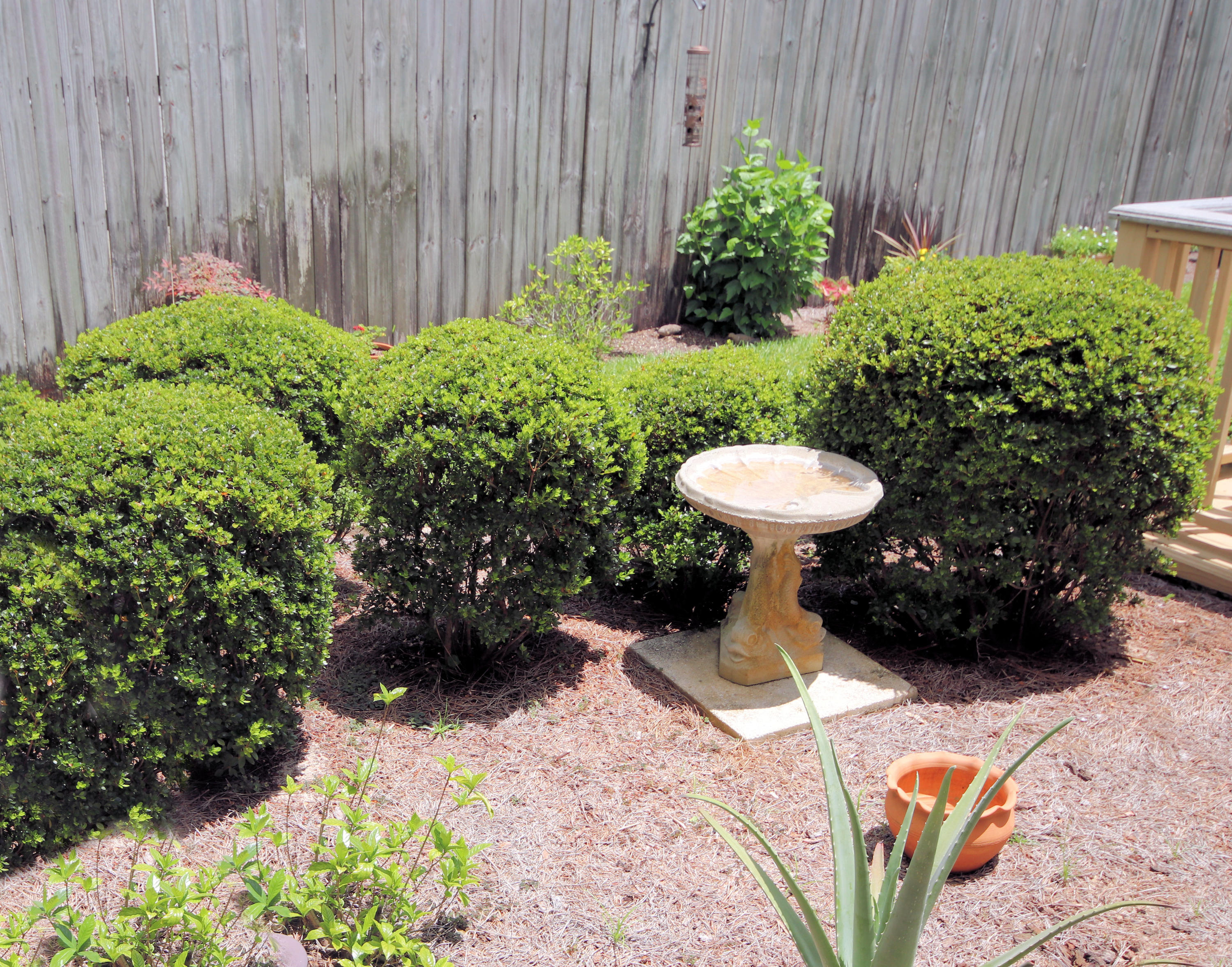 1956 Woodcrest Ridge Fort Walton Beach, FL 32547 - Photo 22 of 23 a view of a backyard with plants
