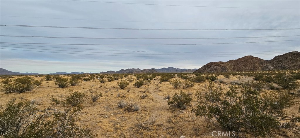 800 Powerline Road Lucerne Valley, CA 92356 - Photo 6 of 8