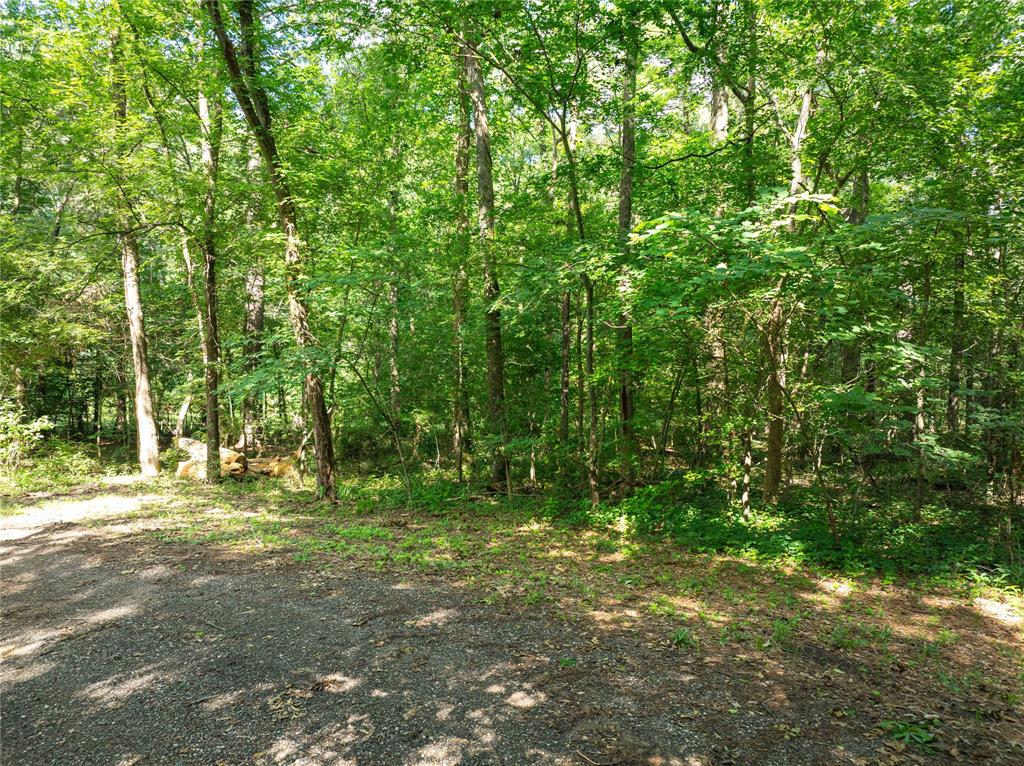 Tbd Bandera Mount Vernon, TX 75457 - Photo 4 of 6