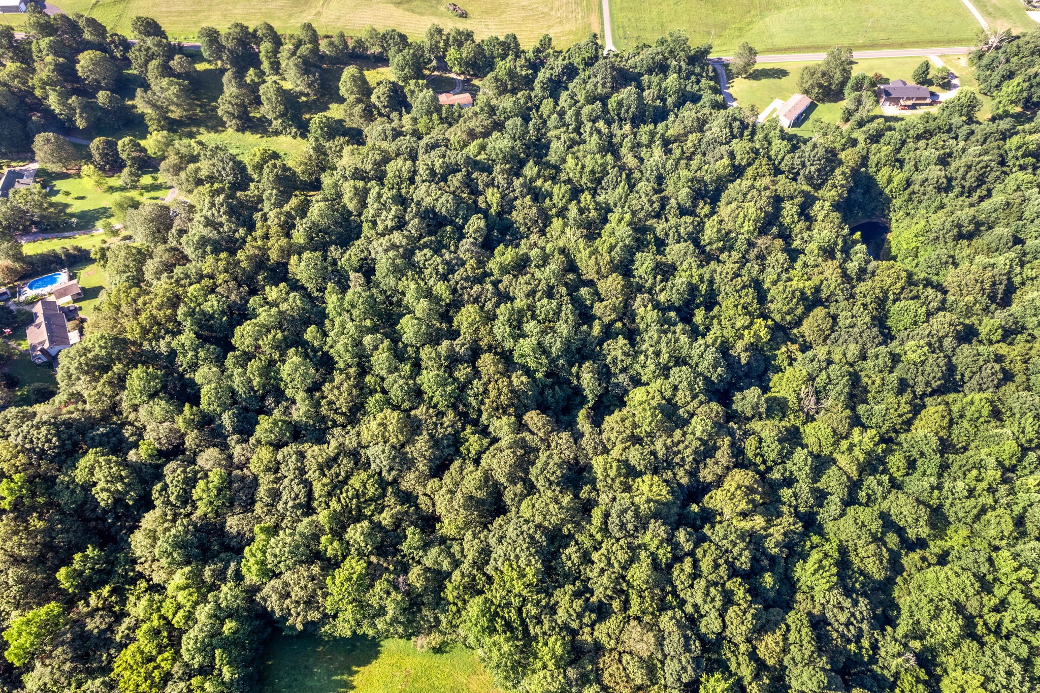 0 Johnson Road Clarksville, TN 37043 - Photo 19 of 22 a view of a bunch of trees
