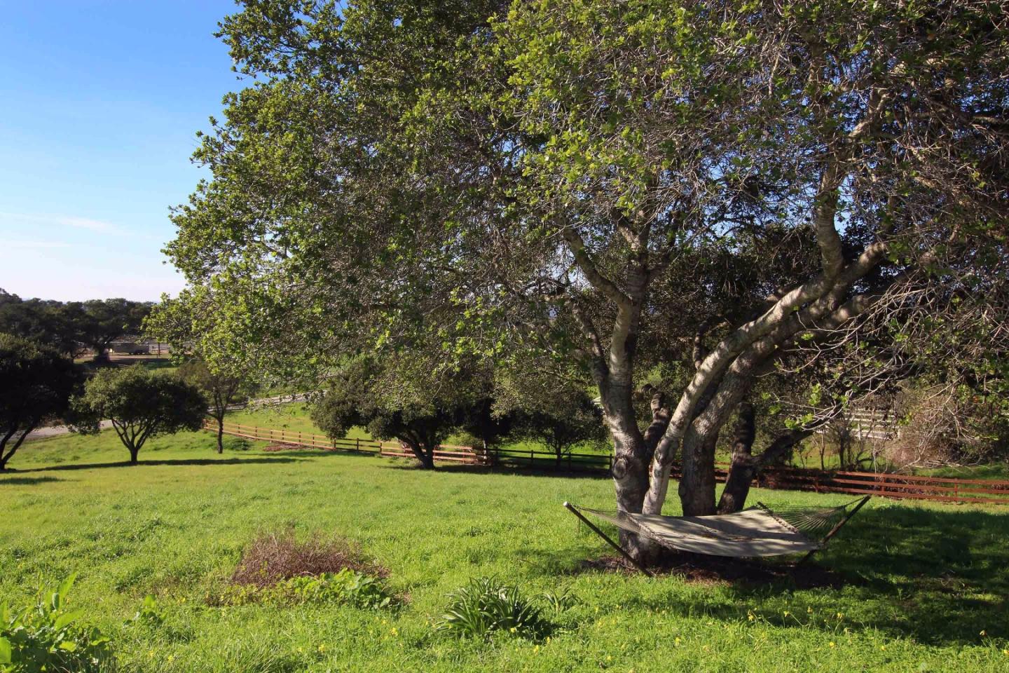 266 Webb Road Watsonville, CA 95076 - Photo 29 of 40 a view of a park with a tree