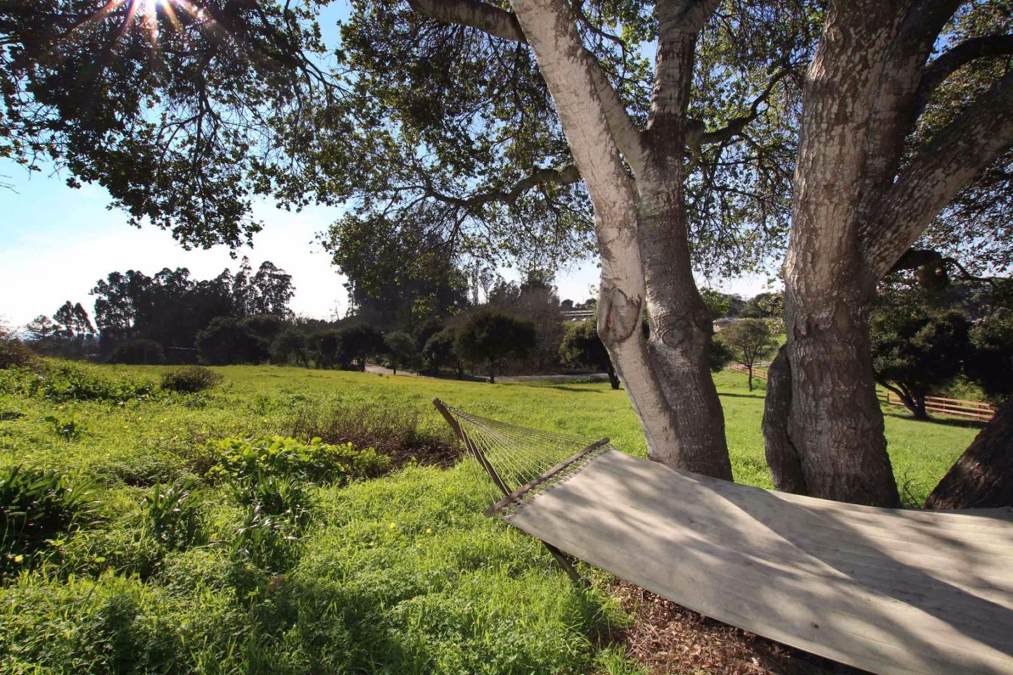 266 Webb Road Watsonville, CA 95076 - Photo 30 of 40 a view of a yard with an tree