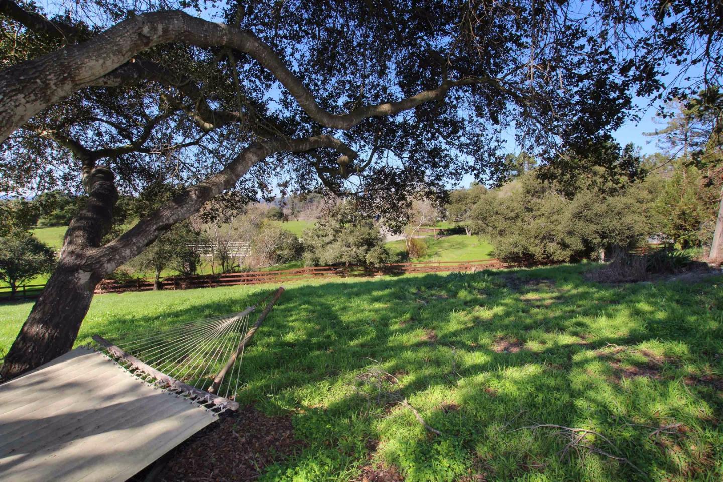 266 Webb Road Watsonville, CA 95076 - Photo 31 of 40 a view of a yard with plants and large trees
