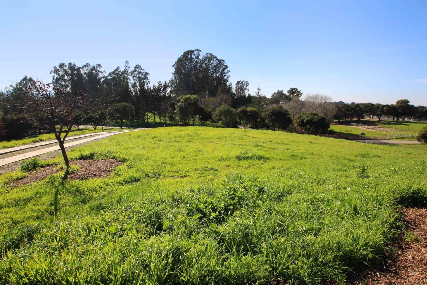 266 Webb Road Watsonville, CA 95076 - Photo 37 of 40 a view of an outdoor space and a yard