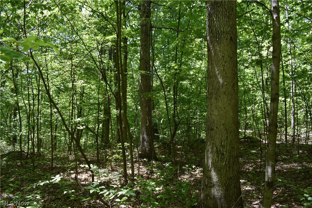 33822 Hopewell Ridge Road Lower Salem, OH 45745 - Photo 15 of 35