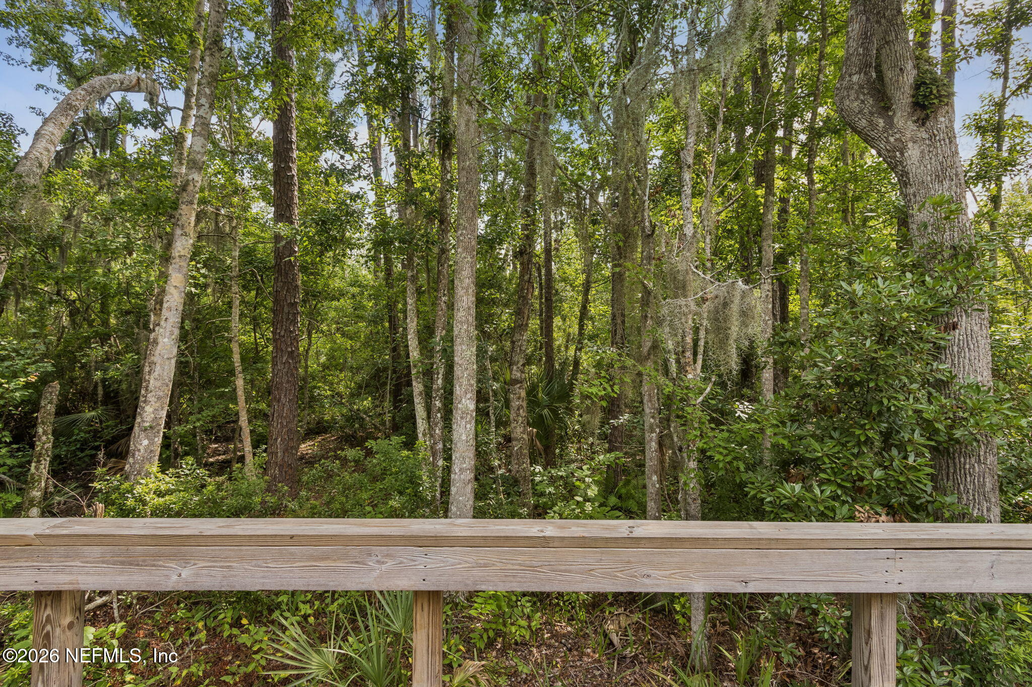 1173 Neck Road Ponte Vedra Beach, FL 32082 - Photo 33 of 39 Beautiful Wooded Lot