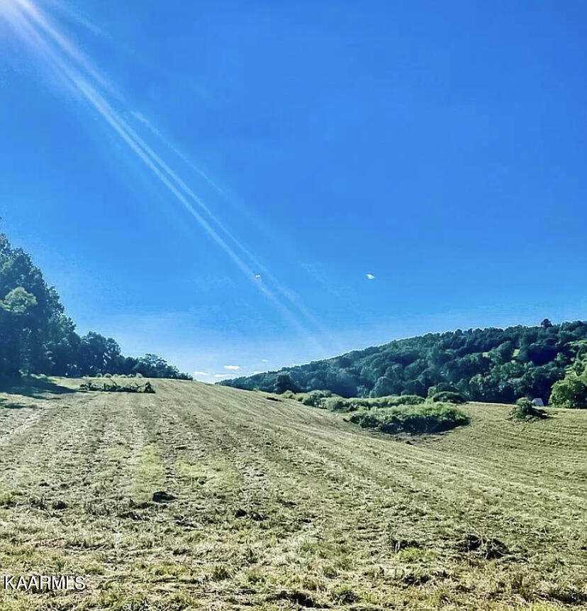 420 Hubbs Grove Road Maynardville, TN 37807 - Photo 5 of 11 6B4AEE49-4715-4300-BC0D-E5CE1741FE6A