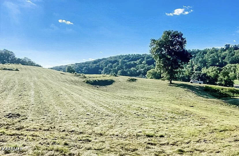 420 Hubbs Grove Road Maynardville, TN 37807 - Photo 6 of 11 4EAFDD92-576A-4E5B-99FA-2B42B59D7850