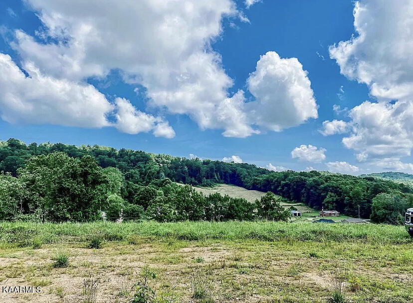 420 Hubbs Grove Road Maynardville, TN 37807 - Photo 7 of 11 B9AA0D52-9B39-42D2-B781-3FE1D84790D4