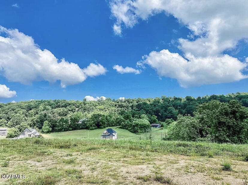 420 Hubbs Grove Road Maynardville, TN 37807 - Photo 8 of 11 98830422-8F30-4552-9014-2550F4329463