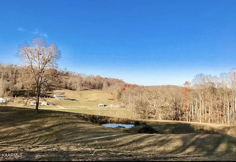 420 Hubbs Grove Road Maynardville, TN 37807 - Photo 9 of 11 3CBA9A2F-14D6-48E8-BD9F-03146A0D3C9D