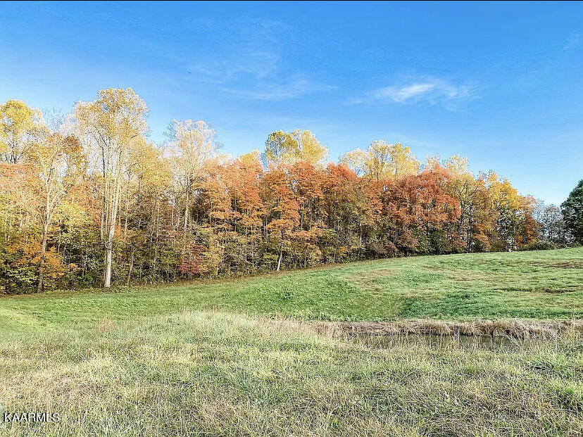 420 Hubbs Grove Road Maynardville, TN 37807 - Photo 10 of 11 F099A59A-FC79-4C1F-8475-A64DDE659D06