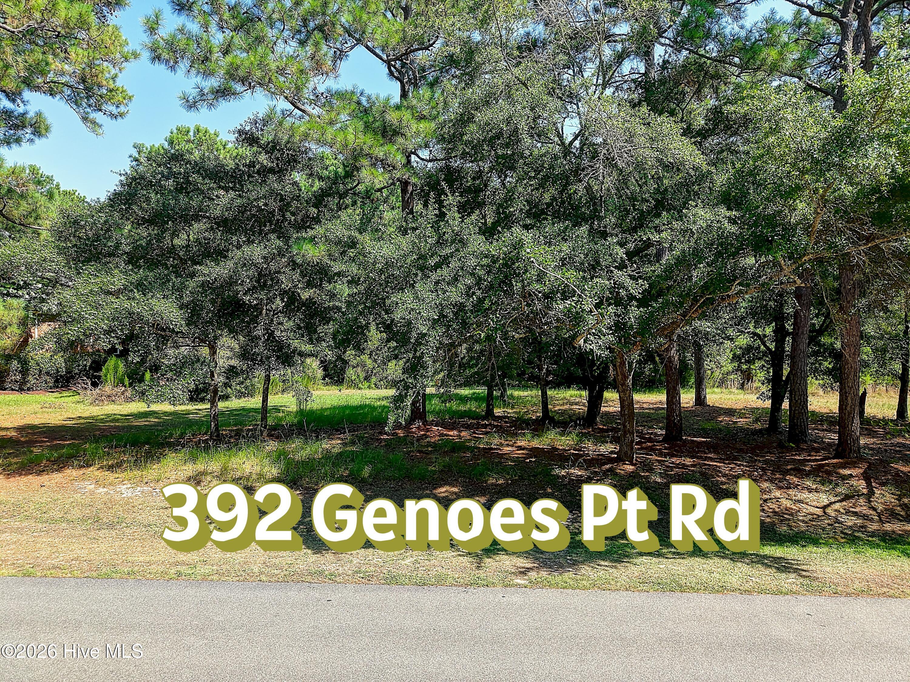 392 Genoe's Point Road Southwest Supply, NC 28462 - Photo 6 of 36