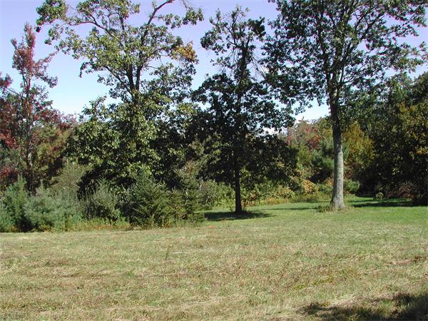 Lot 3 Chapin Road Holden, MA 01520 - Photo 2 of 6 Gallery Image 2