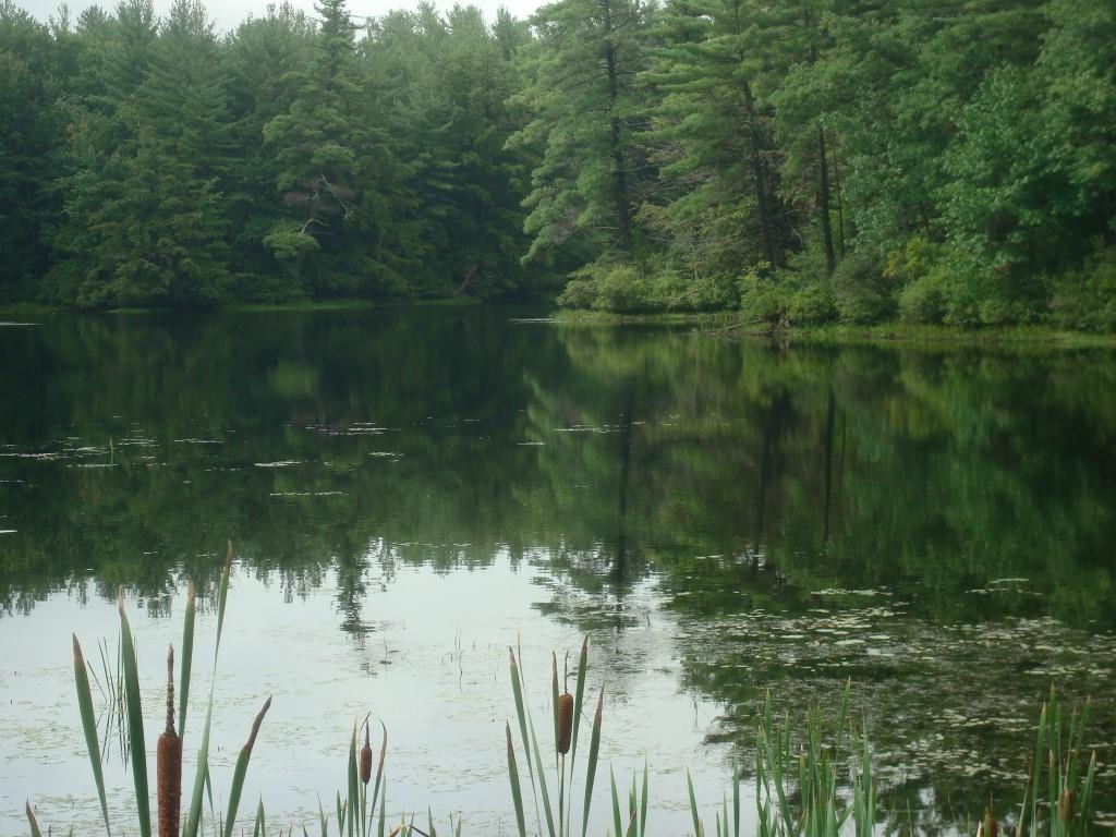 30 Cider Mill Pond Road North Berwick, ME 03906 - Photo 3 of 10 Photo