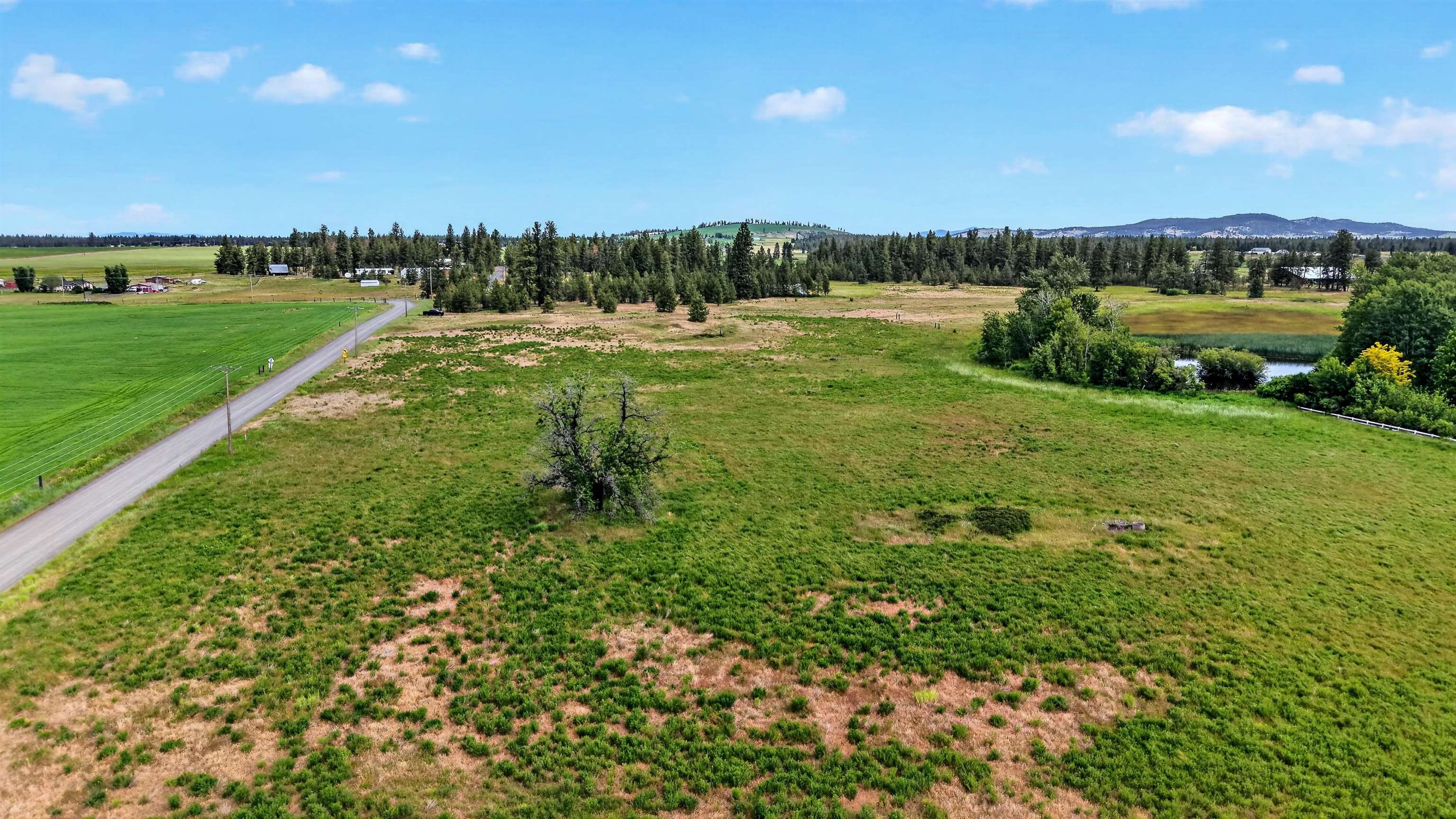 Xxxx South Smythe Road Spangle, WA 99031 - Photo 2 of 17