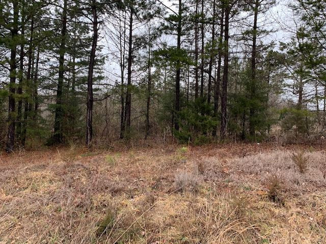 Country Club Road Roxboro, NC 27574 - Photo 2 of 5 Photo 2
