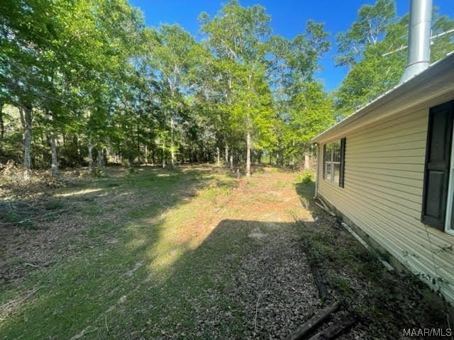 628 Old Elba Road Coffee Springs, AL 36318 - Photo 29 of 32 Gallery Image 29