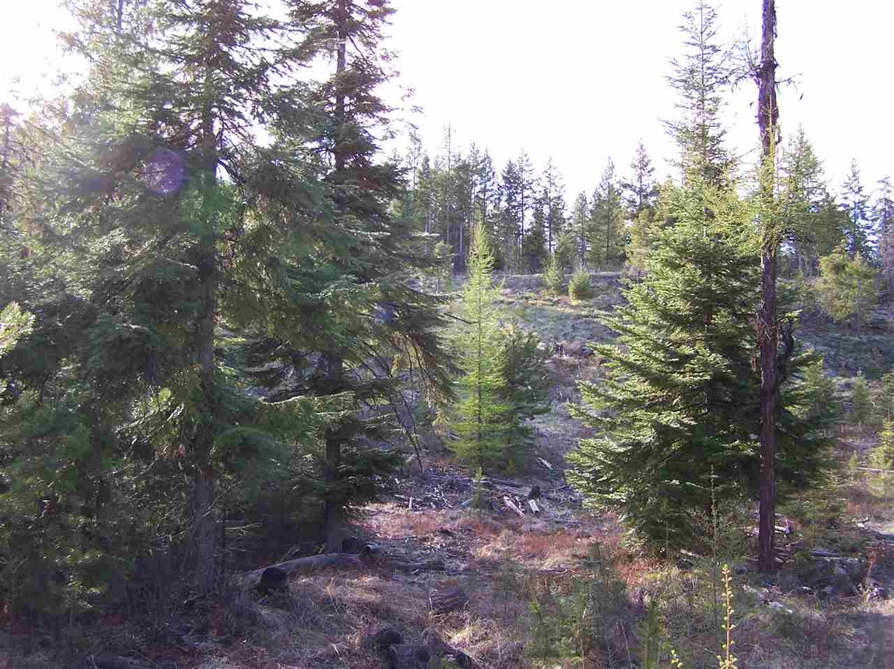13-xx Orin-Rice Road, Unit LOTS AC Colville, WA 99114 - Photo 11 of 11