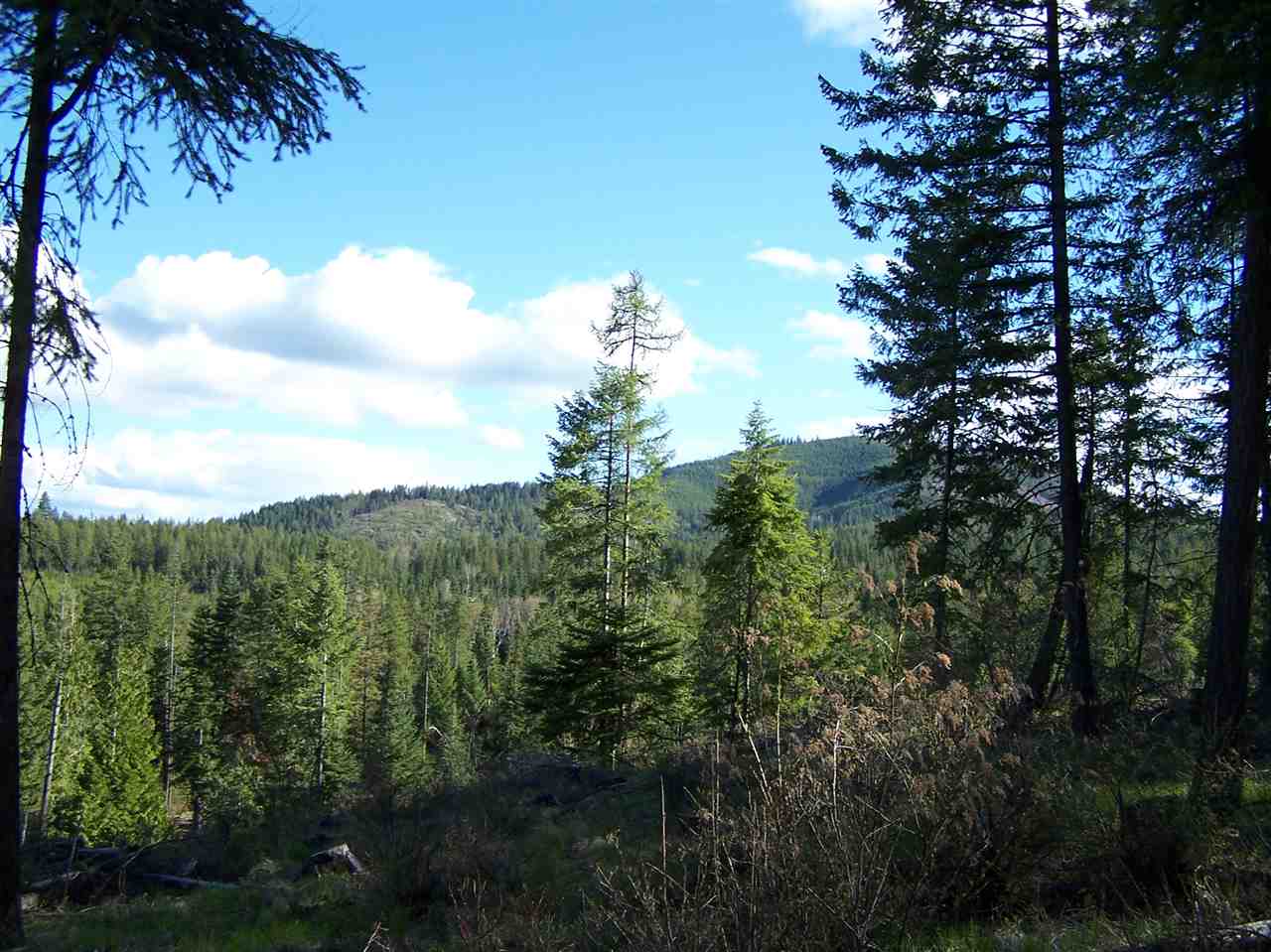 13-xx Orin-Rice Road, Unit LOTS AC Colville, WA 99114 - Photo 3 of 11