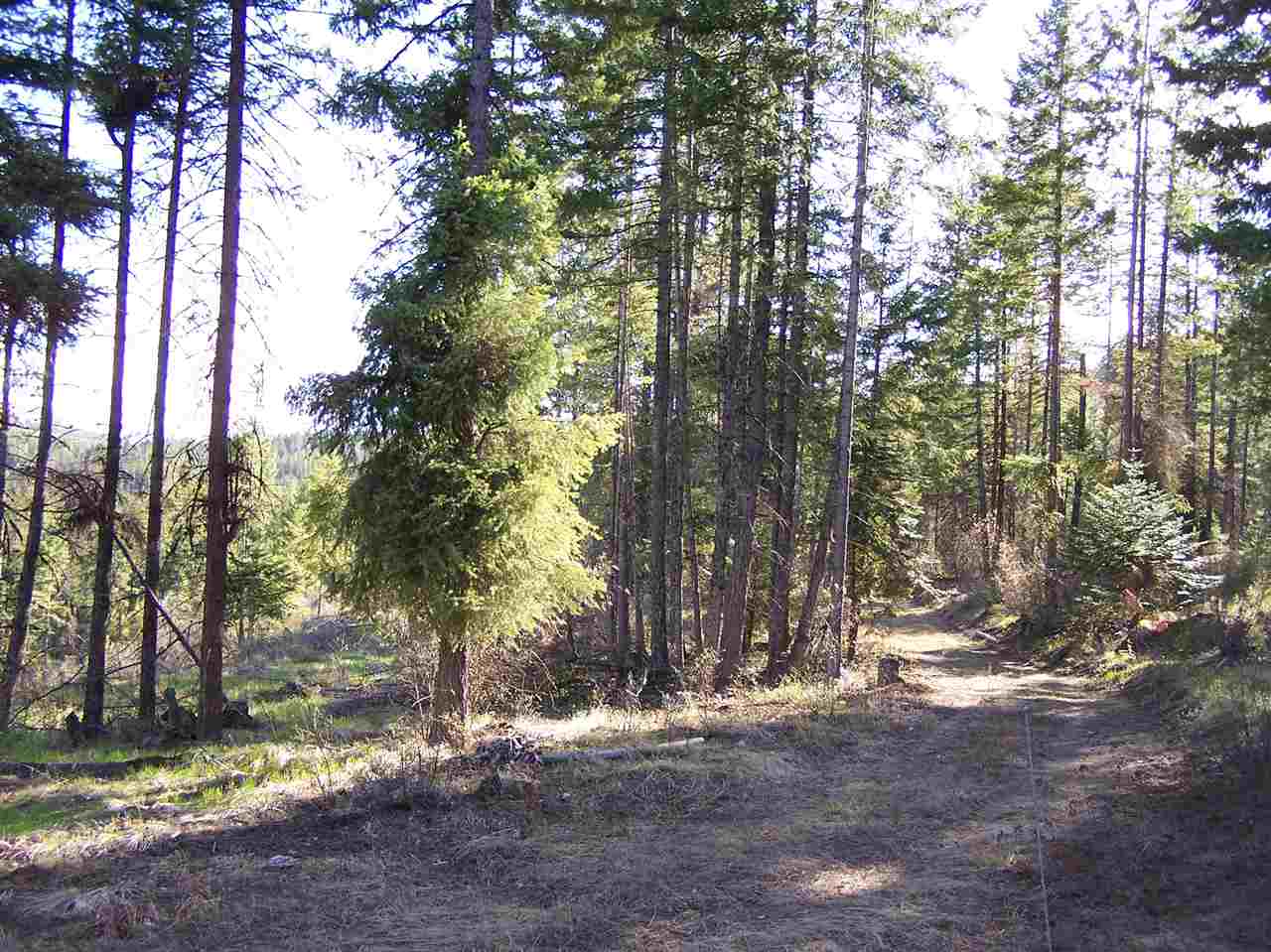 13-xx Orin-Rice Road, Unit LOTS AC Colville, WA 99114 - Photo 4 of 11