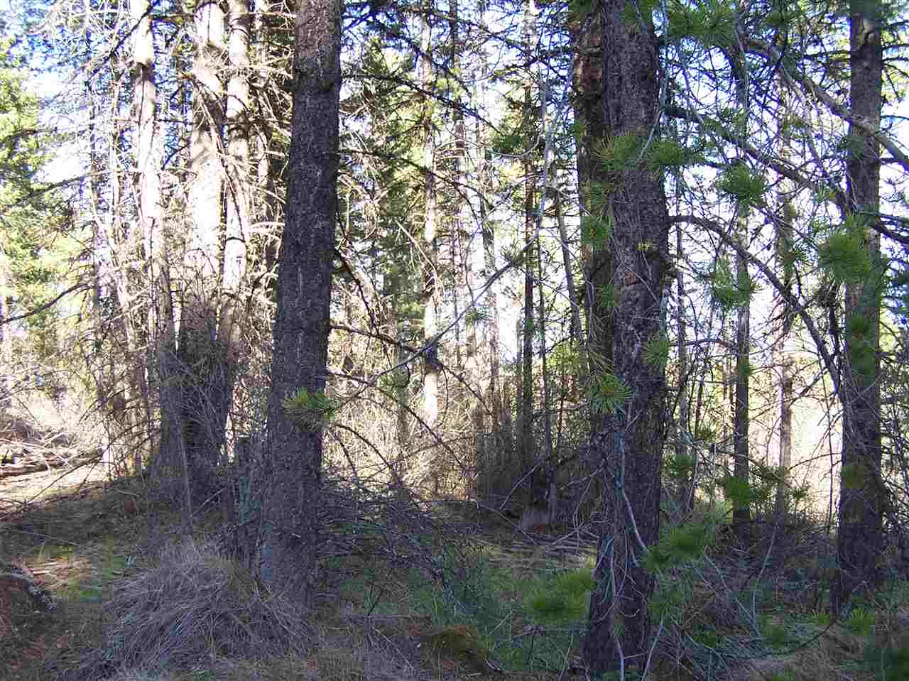 13-xx Orin-Rice Road, Unit LOTS AC Colville, WA 99114 - Photo 5 of 11