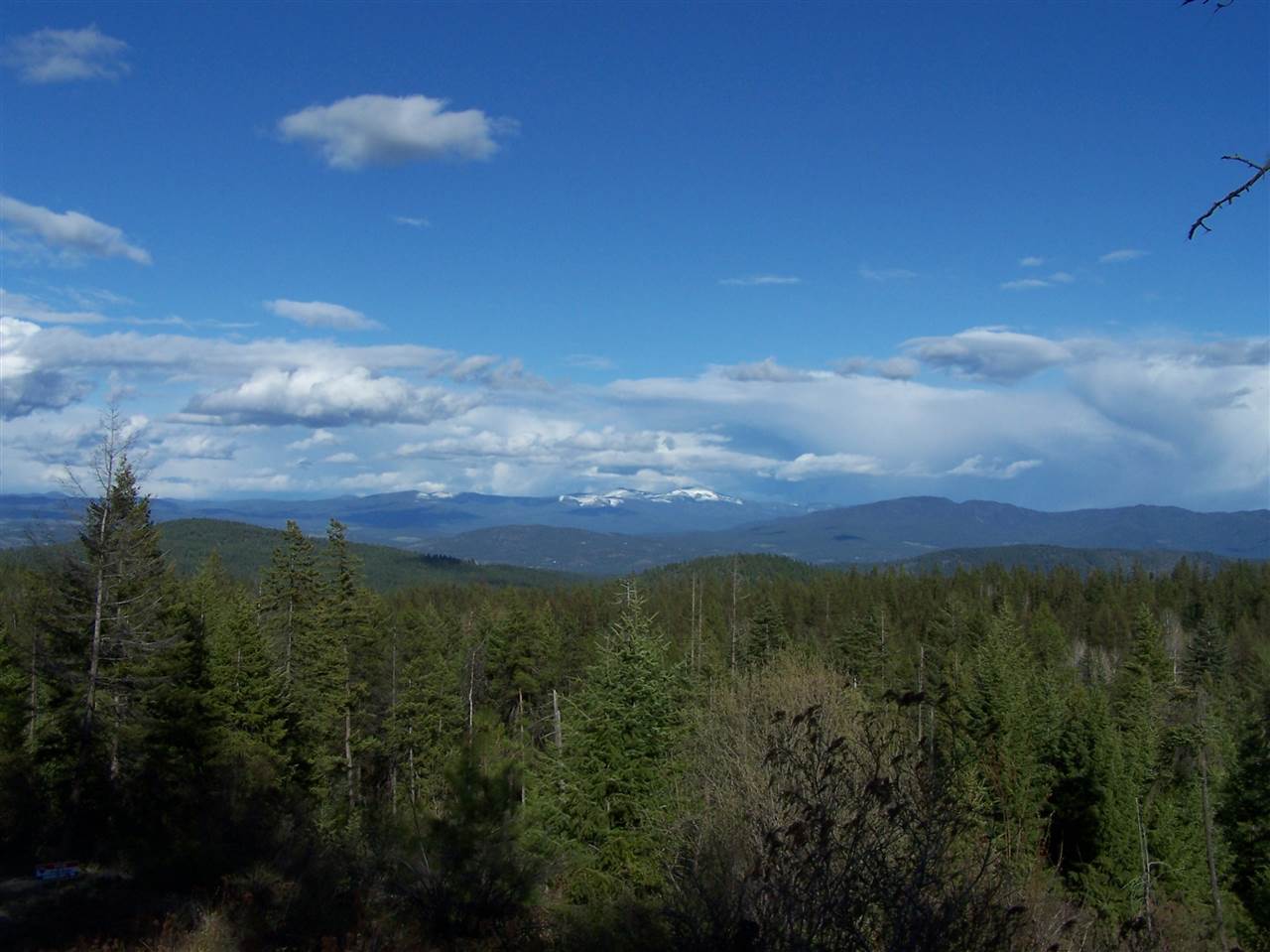 13-xx Orin-Rice Road, Unit LOTS AC Colville, WA 99114 - Photo 6 of 11
