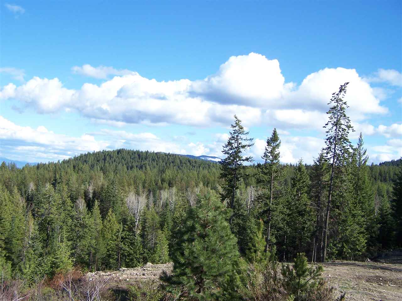 13-xx Orin-Rice Road, Unit LOTS AC Colville, WA 99114 - Photo 7 of 11