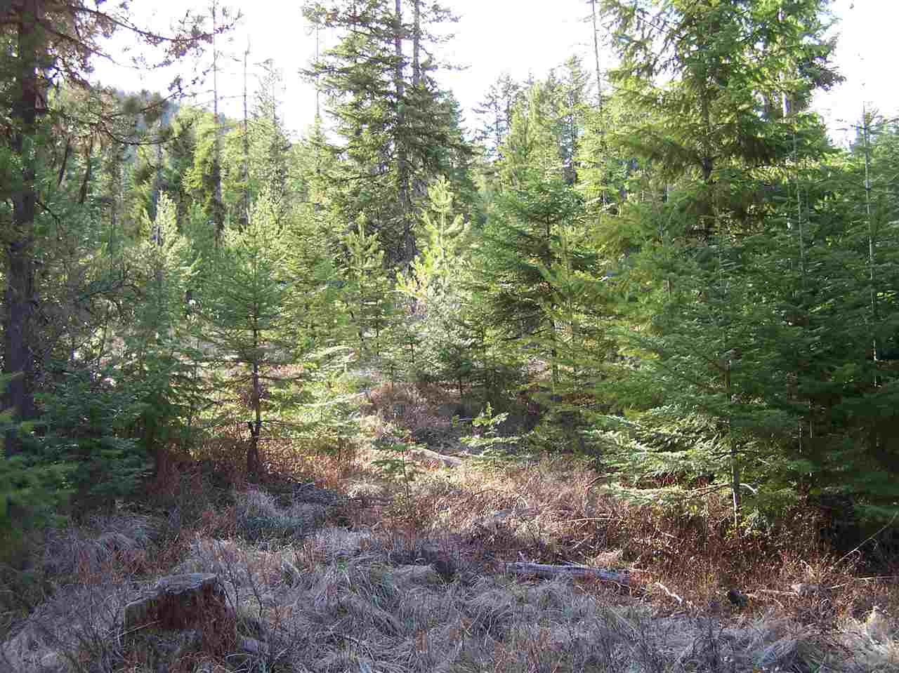 13-xx Orin-Rice Road, Unit LOTS AC Colville, WA 99114 - Photo 8 of 11