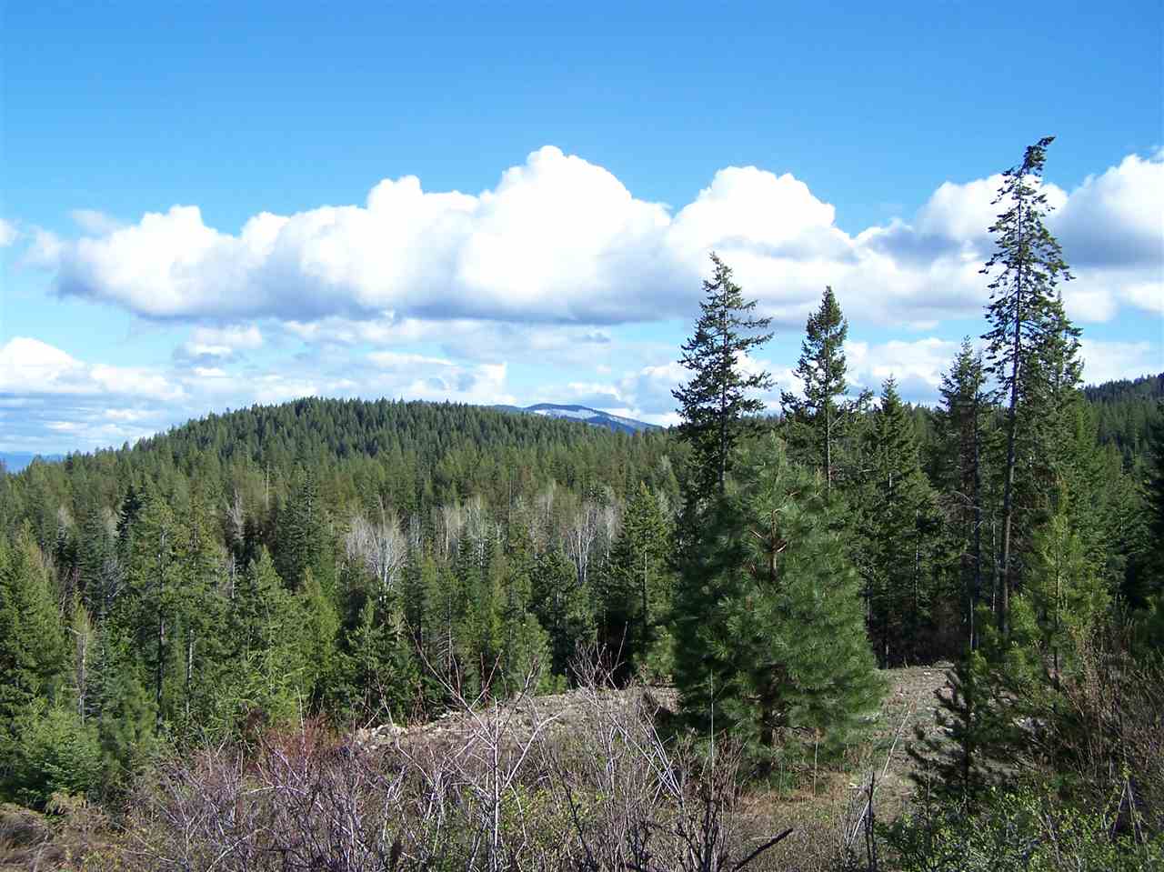 13-xx Orin-Rice Road, Unit LOTS AC Colville, WA 99114 - Photo 9 of 11