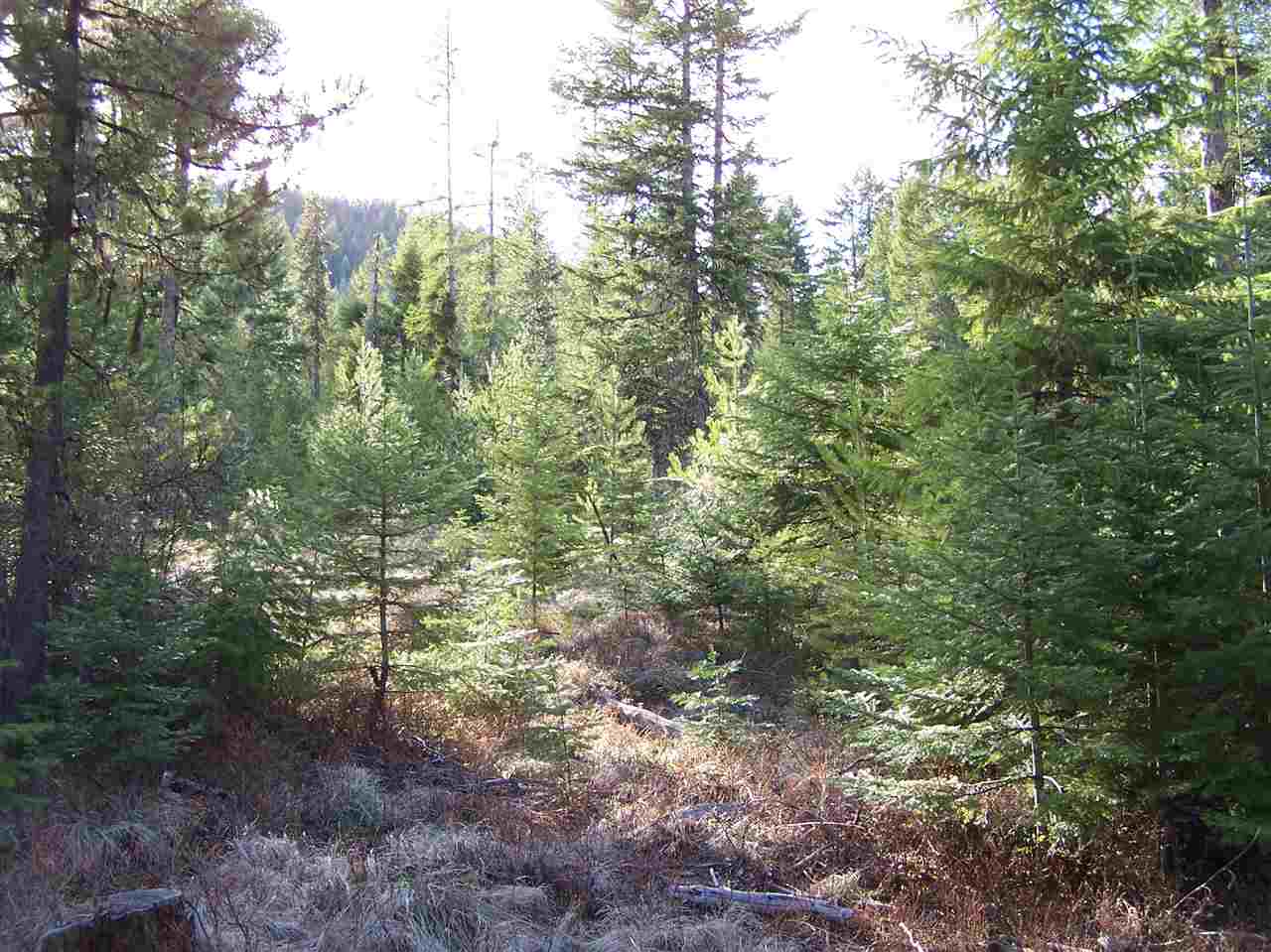 13-xx Orin-Rice Road, Unit LOTS AC Colville, WA 99114 - Photo 10 of 11