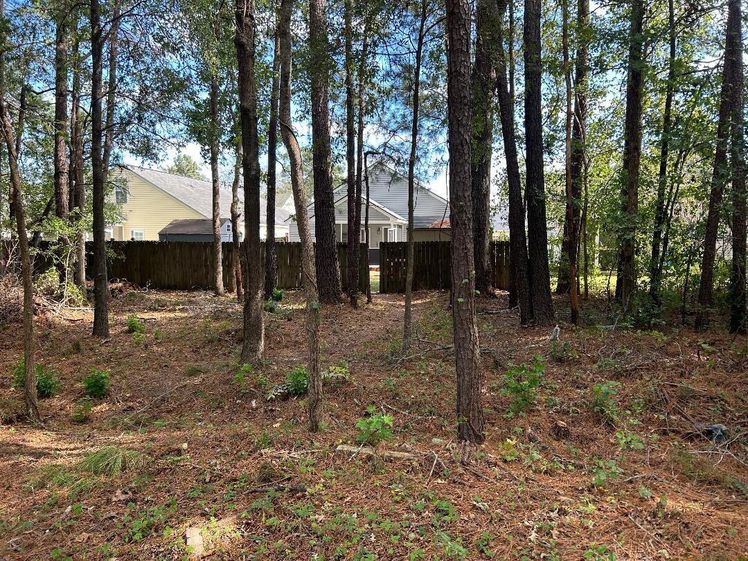 129 Thistle Road Goose Creek, SC 29445 - Photo 24 of 25 129 thistle view of walking trail