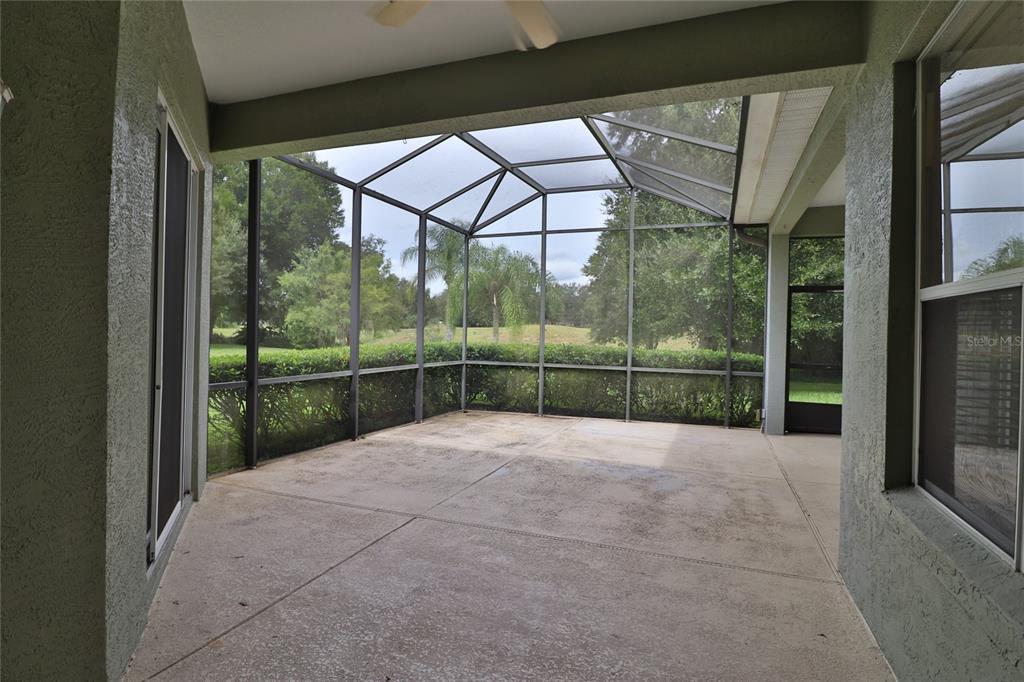 605 Cheviot Court Apopka, FL 32712 - Photo 31 of 32 a view of backyard with green space