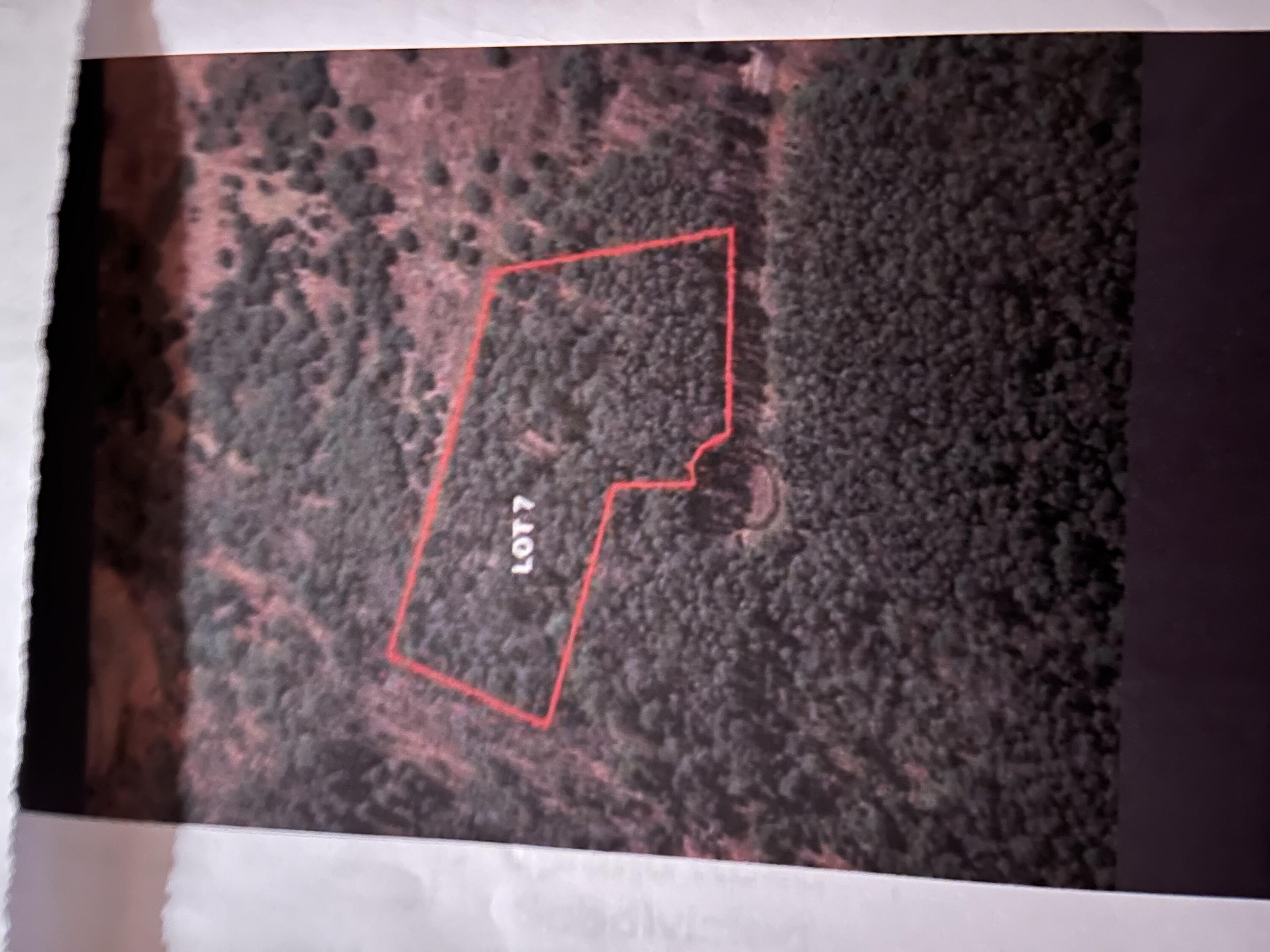 Lot #7 Upland Road Wiscasset, ME 04578 - Photo 8 of 8 Photo Showing Lot Outline