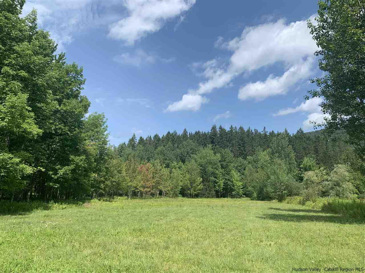 Tbd Tbd Brush Ridge Fleischmanns, NY 12430 - Photo 2 of 11 Photo 2