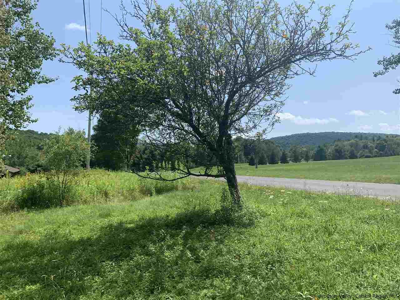 Tbd Tbd Brush Ridge Fleischmanns, NY 12430 - Photo 3 of 11 Photo 3