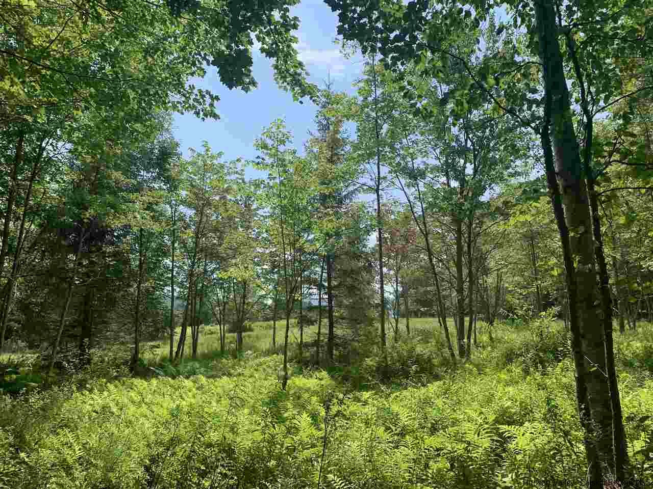 Tbd Tbd Brush Ridge Fleischmanns, NY 12430 - Photo 4 of 11 Photo 4