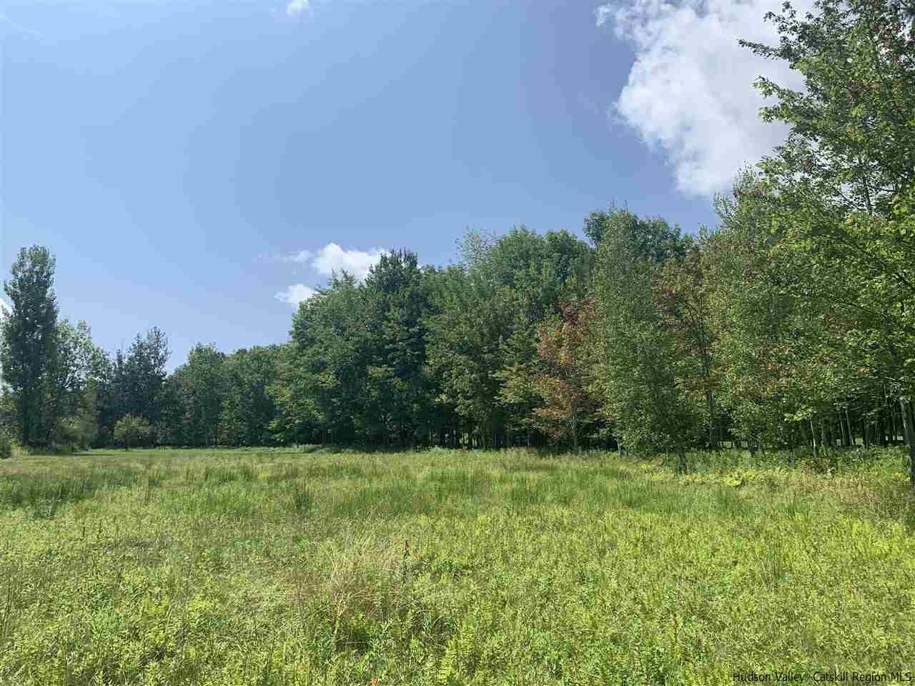 Tbd Tbd Brush Ridge Fleischmanns, NY 12430 - Photo 5 of 11 Photo 5